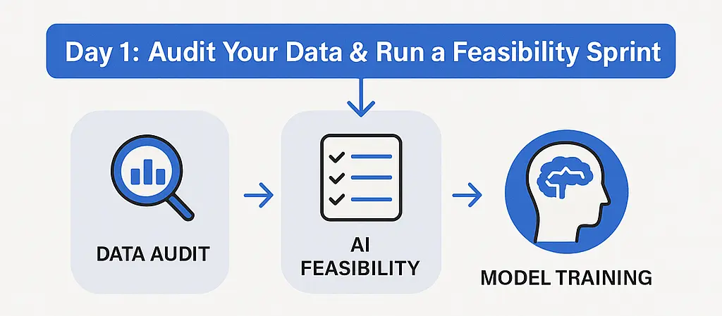 Workflow of auditing data & running a feasibility sprint